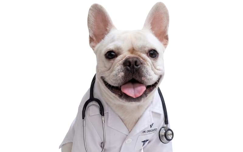Consulta Médica